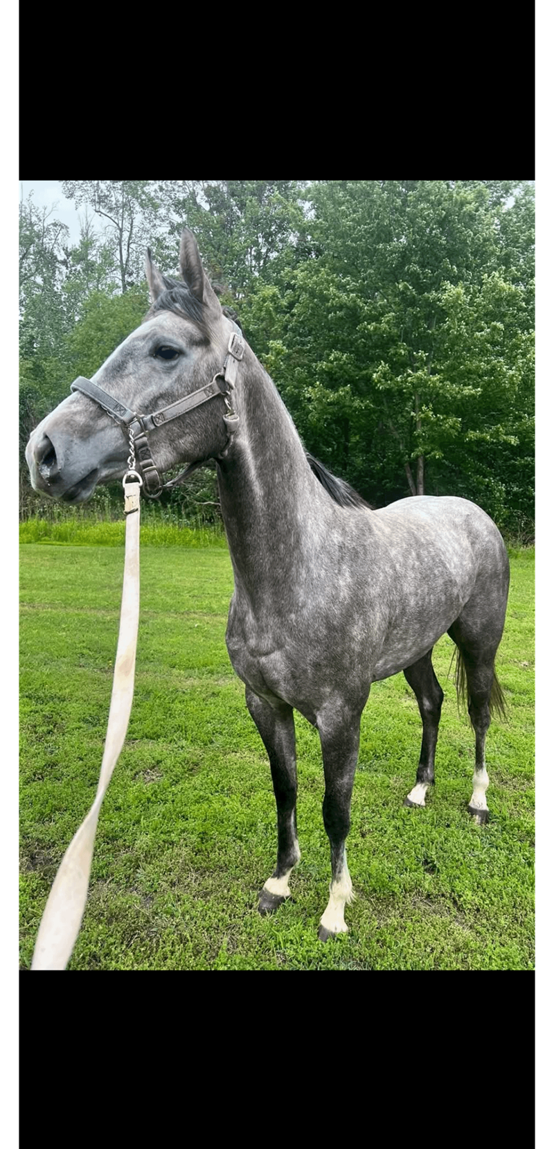 Cheezburger Image 10611932928