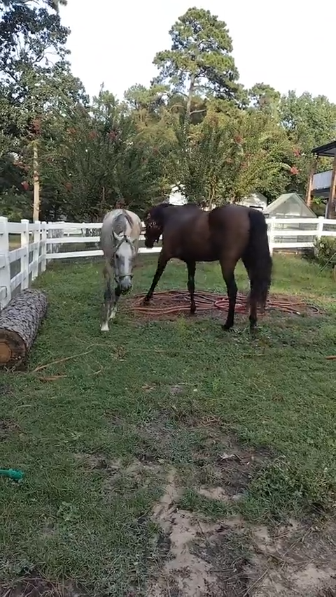 Cheezburger Image 10611933184