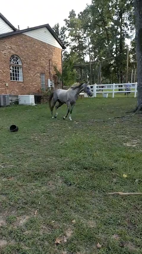 Cheezburger Image 10611933440