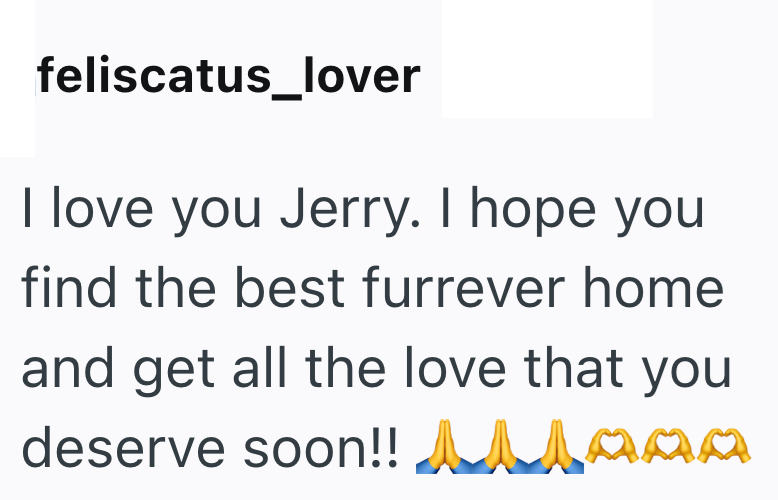 feliscatus_lover I love you Jerry. I hope you find the best furrever home and get all the love that you deserve soon!! Allaaa