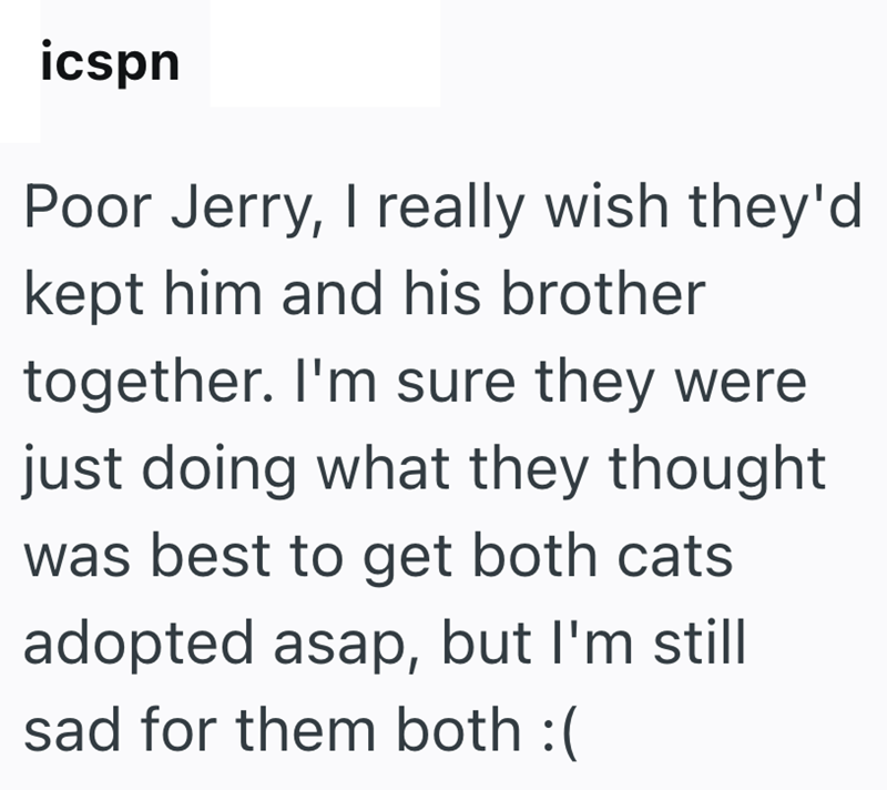 icspn Poor Jerry, I really wish they'd kept him and his brother together. I'm sure they were just doing what they thought was best to get both cats. adopted asap, but I'm still sad for them both :(