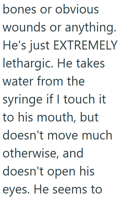 bones or obvious wounds or anything. He's just EXTREMELY lethargic. He takes water from the syringe if I touch it to his mouth, but doesn't move much otherwise, and doesn't open his eyes. He seems to