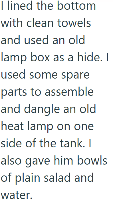 I lined the bottom with clean towels and used an old lamp box as a hide. I used some spare parts to assemble and dangle an old heat lamp on one side of the tank. I also gave him bowls of plain salad and water.