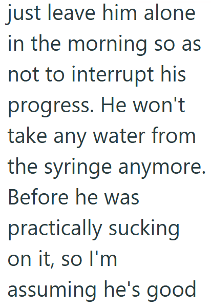 just leave him alone in the morning so as not to interrupt his progress. He won't take any water from the syringe anymore. Before he was practically sucking on it, so I'm assuming he's good