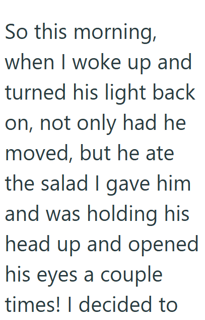 So this morning, when I woke up and turned his light back on, not only had he moved, but he ate the salad I gave him and was holding his head up and opened his eyes a couple times! I decided to