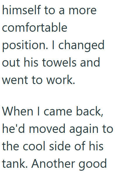 himself to a more comfortable position. I changed out his towels and went to work. When I came back, he'd moved again to the cool side of his tank. Another good