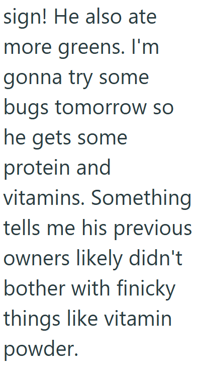 sign! He also ate more greens. I'm gonna try some bugs tomorrow so he gets some protein and vitamins. Something tells me his previous owners likely didn't bother with finicky things like vitamin powder.