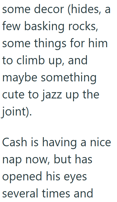 some decor (hides, a few basking rocks, some things for him to climb up, and maybe something cute to jazz up the joint). Cash is having a nice nap now, but has opened his eyes several times and