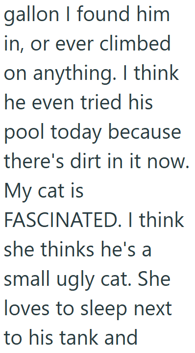 gallon I found him in, or ever climbed on anything. I think he even tried his pool today because there's dirt in it now. My cat is FASCINATED. I think she thinks he's a small ugly cat. She loves to sleep next to his tank and