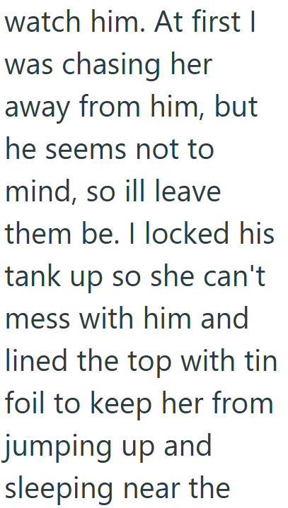 watch him. At first I was chasing her away from him, but he seems not to mind, so ill leave them be. I locked his tank up so she can't mess with him and lined the top with tin foil to keep her from jumping up and sleeping near the