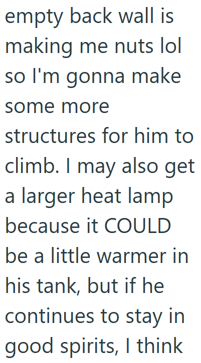 empty back wall is making me nuts lol so I'm gonna make some more structures for him to climb. I may also get a larger heat lamp because it COULD be a little warmer in his tank, but if he continues to stay in good spirits, I think