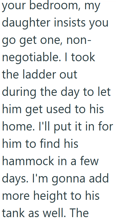 your bedroom, my daughter insists you go get one, non- negotiable. I took the ladder out during the day to let him get used to his home. I'll put it in for him to find his hammock in a few days. I'm gonna add more height to his tank as well. The