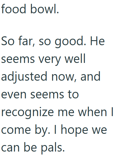 food bowl. So far, so good. He seems very well adjusted now, and even seems to recognize me when I come by. I hope we can be pals.