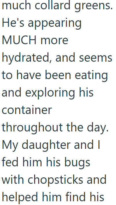 much collard greens. He's appearing MUCH more hydrated, and seems to have been eating and exploring his container throughout the day. My daughter and I fed him his bugs with chopsticks and helped him find his