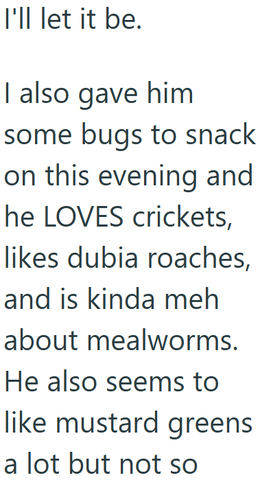 I'll let it be. I also gave him some bugs to snack on this evening and he LOVES crickets, likes dubia roaches, and is kinda meh about mealworms. He also seems to like mustard greens a lot but not so