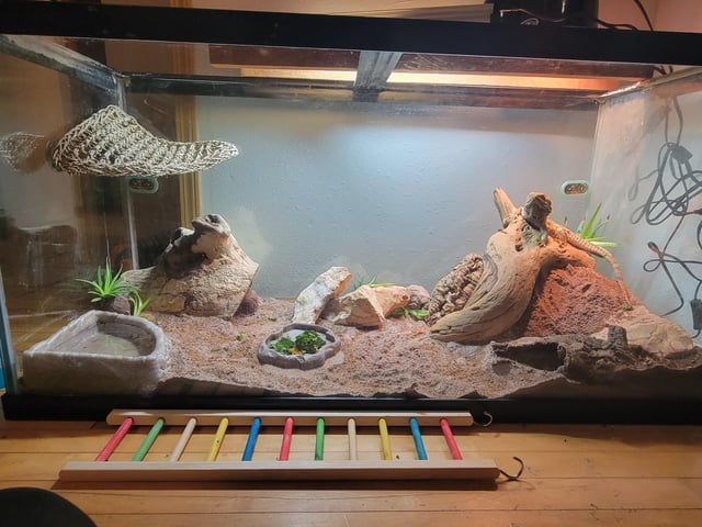 Cheezburger Image 10611946752