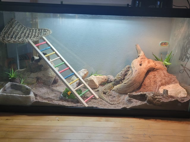 Cheezburger Image 10611947008