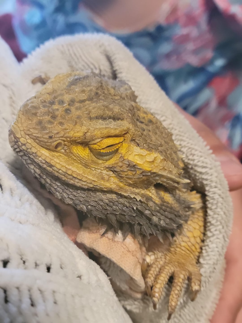 Cheezburger Image 10611947520