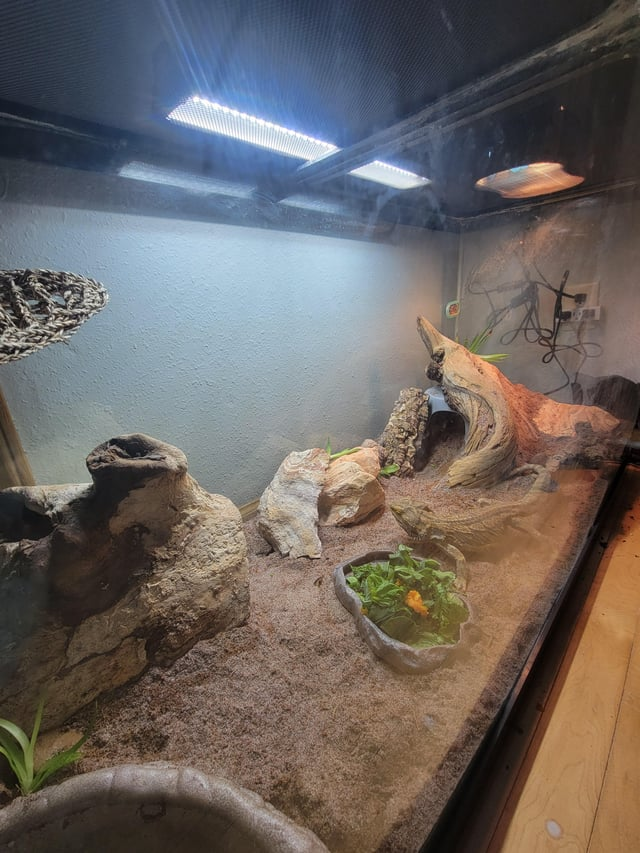 Cheezburger Image 10611948032