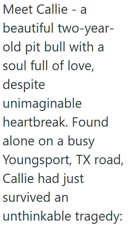 Cheezburger Image 10611948288