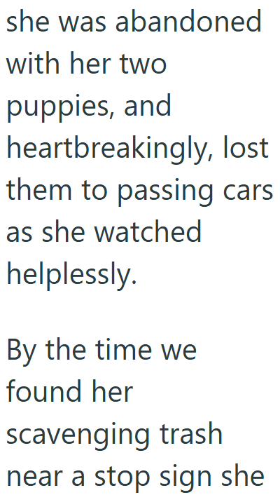 Cheezburger Image 10611948544