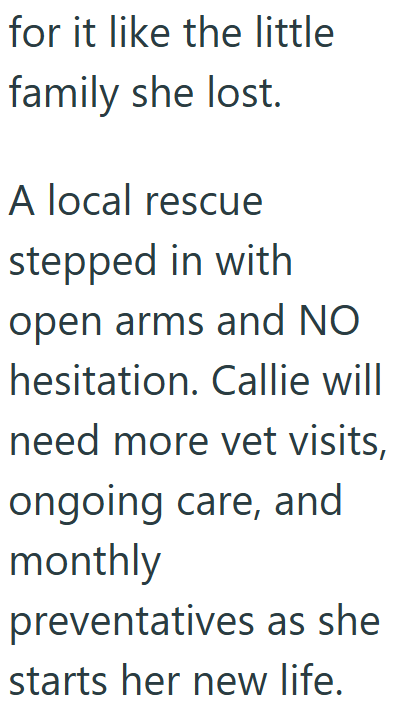 Cheezburger Image 10611949056