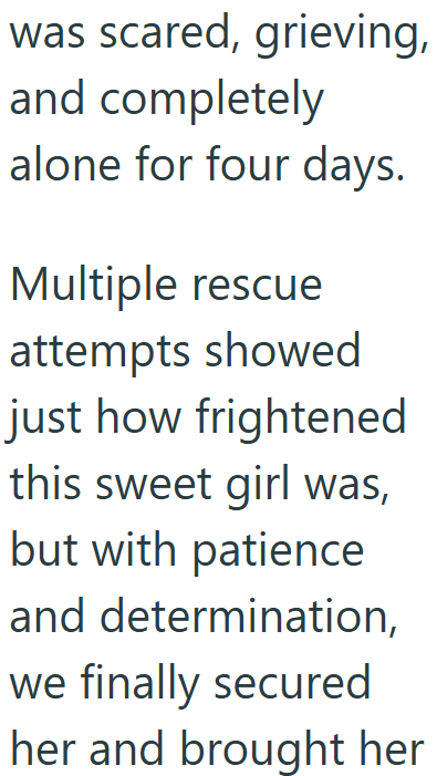 Cheezburger Image 10611949312