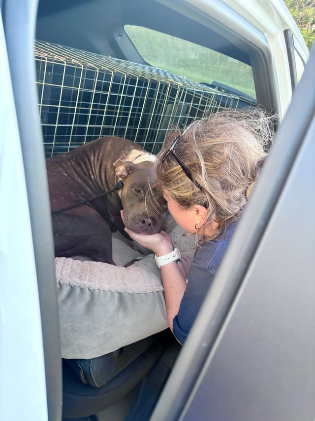 Cheezburger Image 10611949824