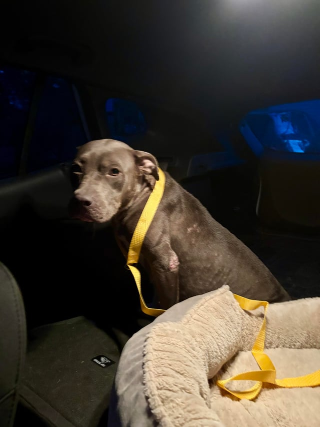 Cheezburger Image 10611950080