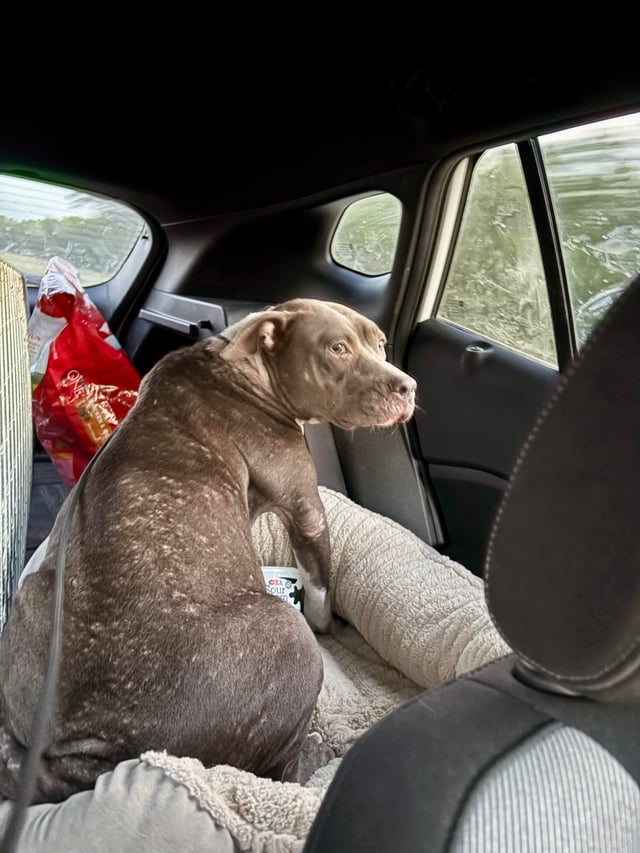 Cheezburger Image 10611950336