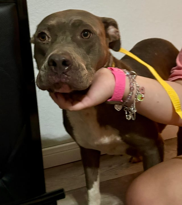 Cheezburger Image 10611950592