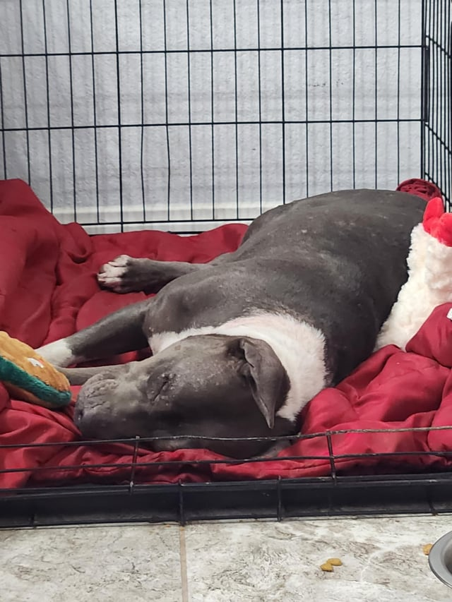 Cheezburger Image 10611951616