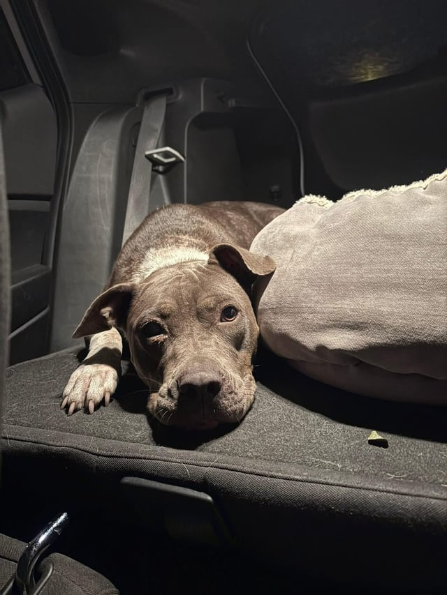 Cheezburger Image 10611951872