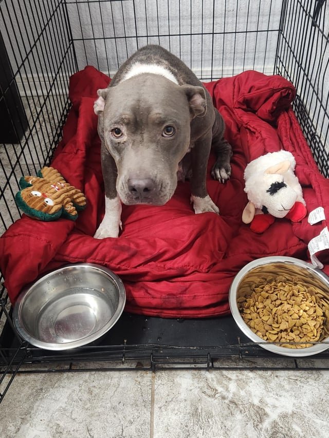 Cheezburger Image 10611952384