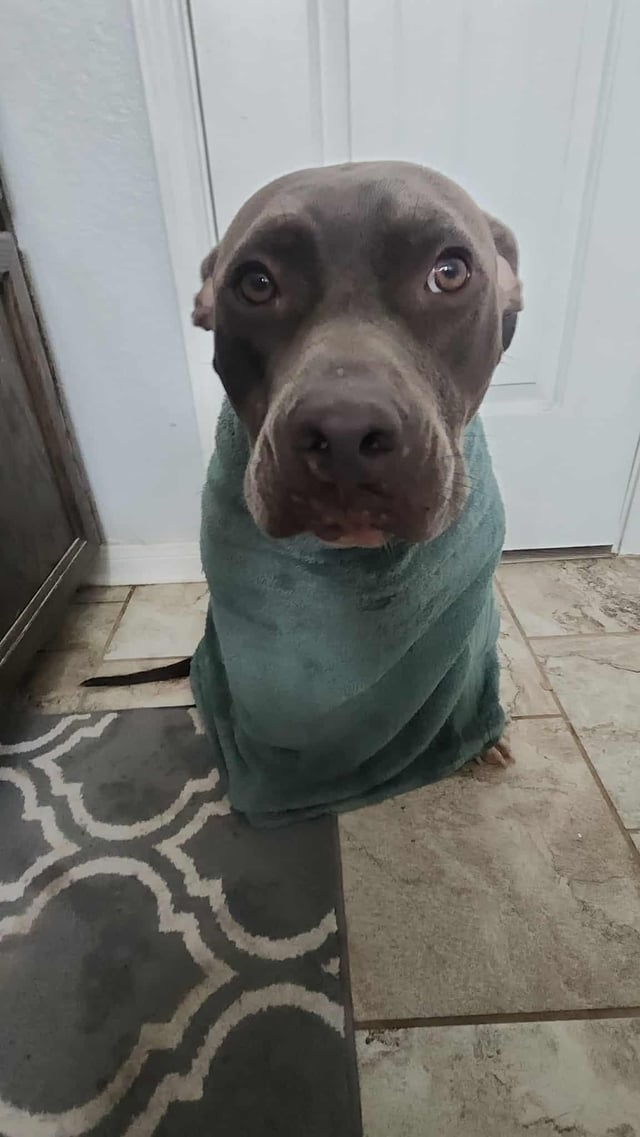 Cheezburger Image 10611952640