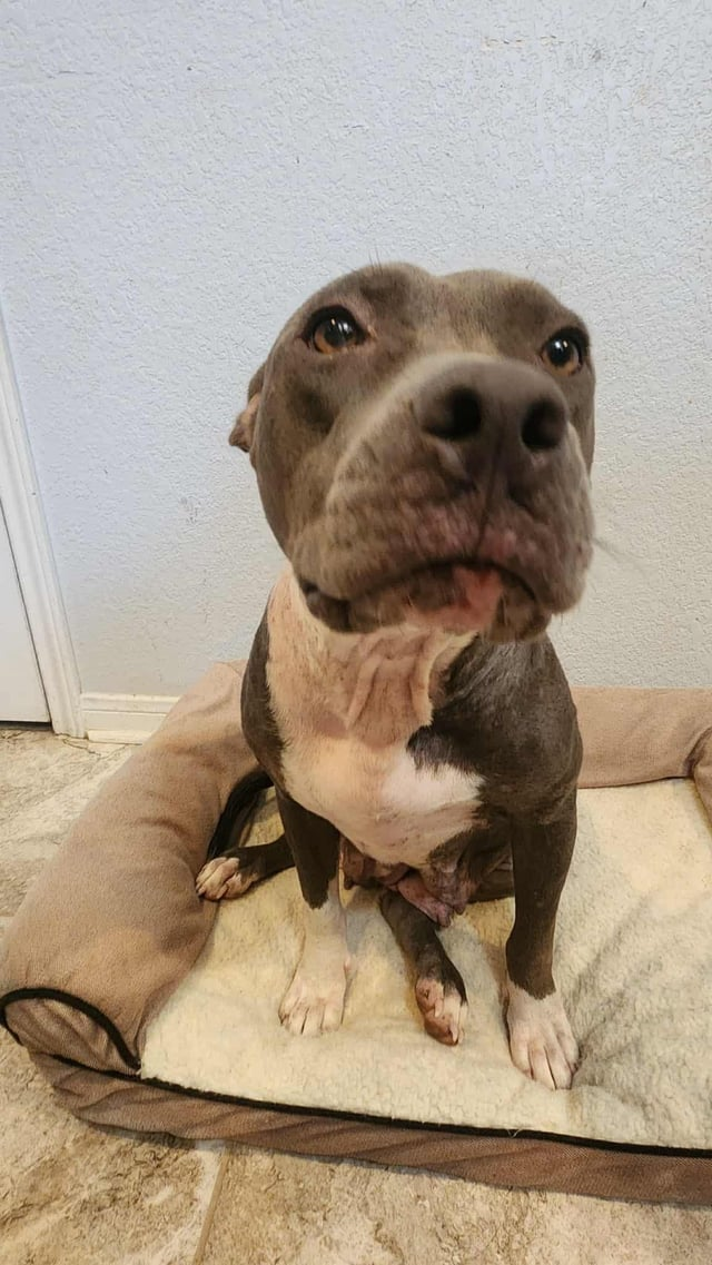 Cheezburger Image 10611953152