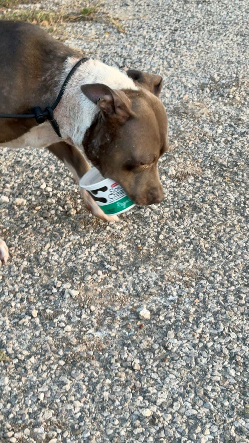 Cheezburger Image 10611953408