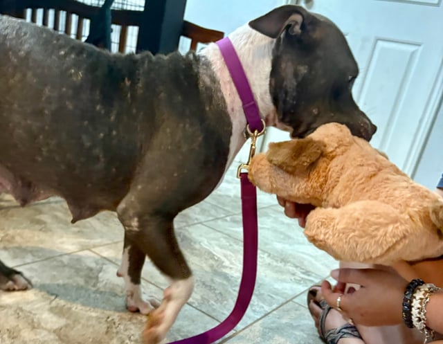 Cheezburger Image 10611953664