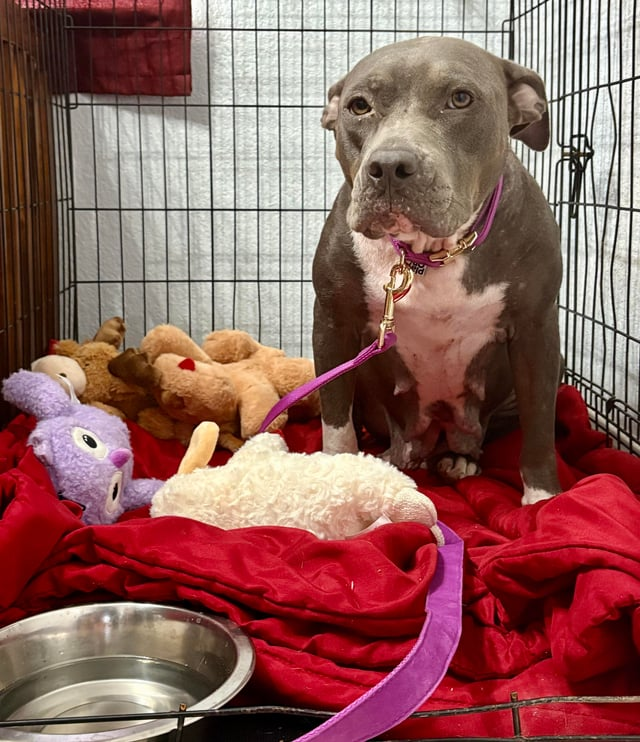 Cheezburger Image 10611953920