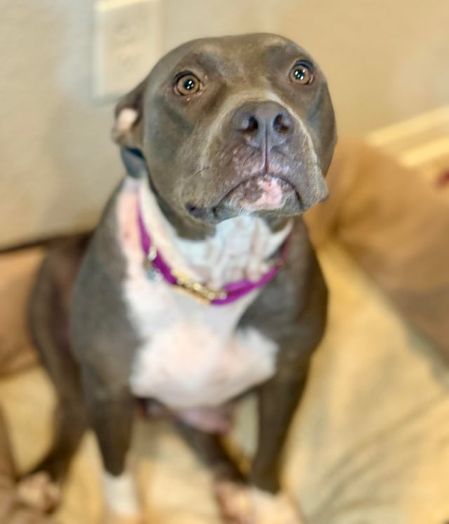 Cheezburger Image 10611954176