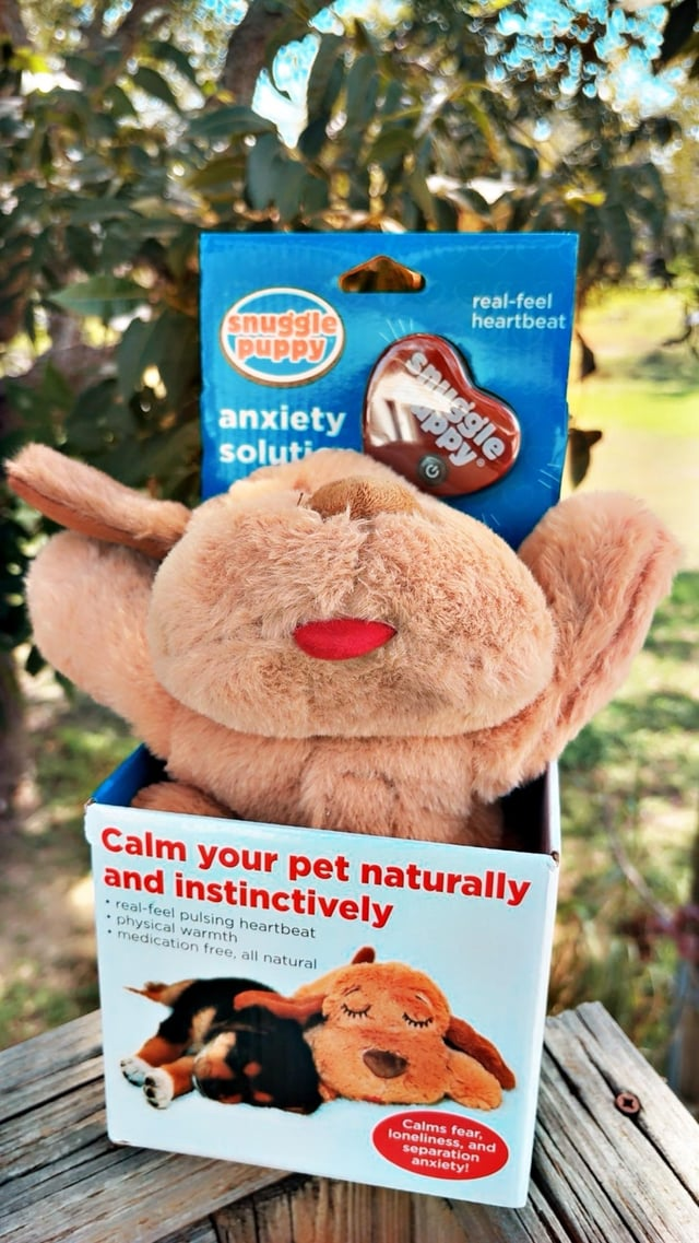 Cheezburger Image 10611954432