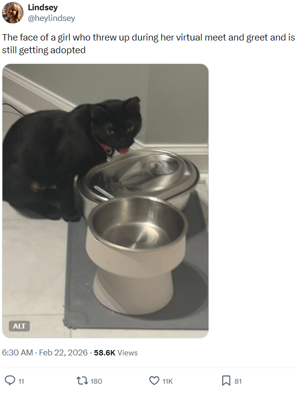 Lindsey @heylindsey The face of a girl who threw up during her virtual meet and greet and is still getting adopted ALT 6:30 AM - Feb 22, 2026-58.6K Views 11 180 11K 81