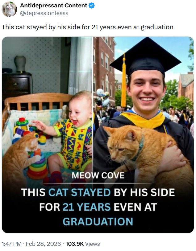 Antidepressant Content ❤ @depressionlesss This cat stayed by his side for 21 years even at graduation MEOW COVE THIS CAT STAYED BY HIS SIDE FOR 21 YEARS EVEN AT GRADUATION 1:47 PM - Feb 28, 2026 103.9K Views .
