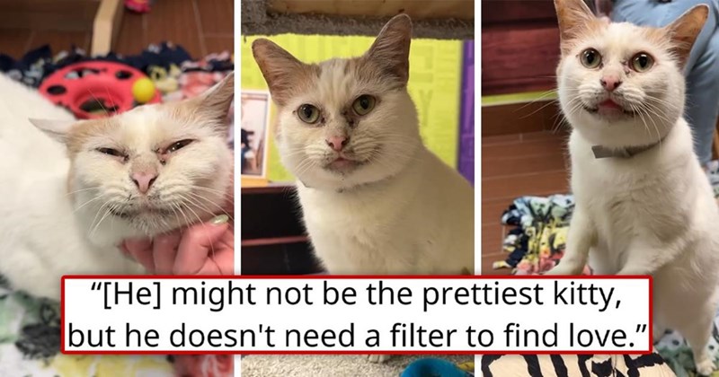 "[He] might not be the prettiest kitty, but he doesn't need a filter to find love."