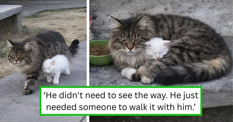 'He didn't need to see the way. He just needed someone to walk it with him.'