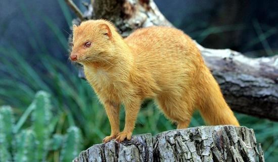 Cheezburger Image 10611960832