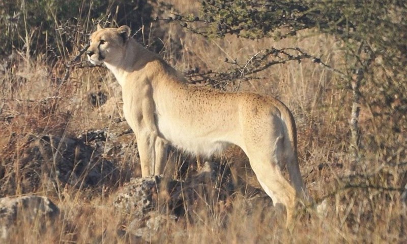 Cheezburger Image 10611961344