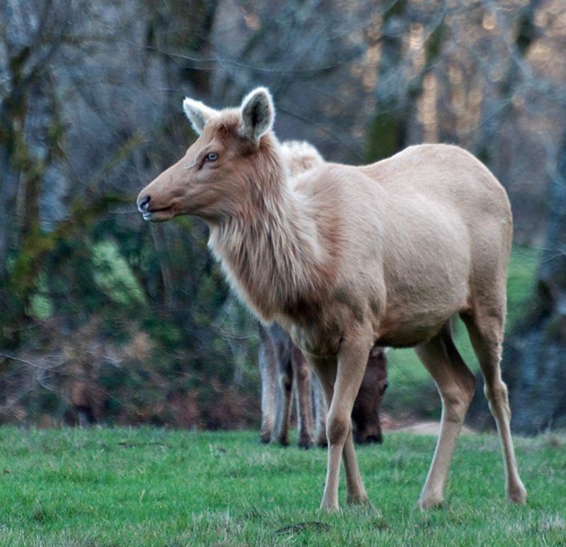 Cheezburger Image 10611962112