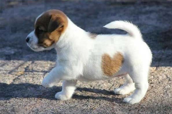 Cheezburger Image 10611964928