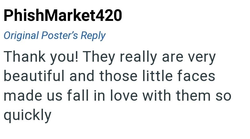 PhishMarket420 Original Poster's Reply Thank you! They really are very beautiful and those little faces made us fall in love with them so quickly